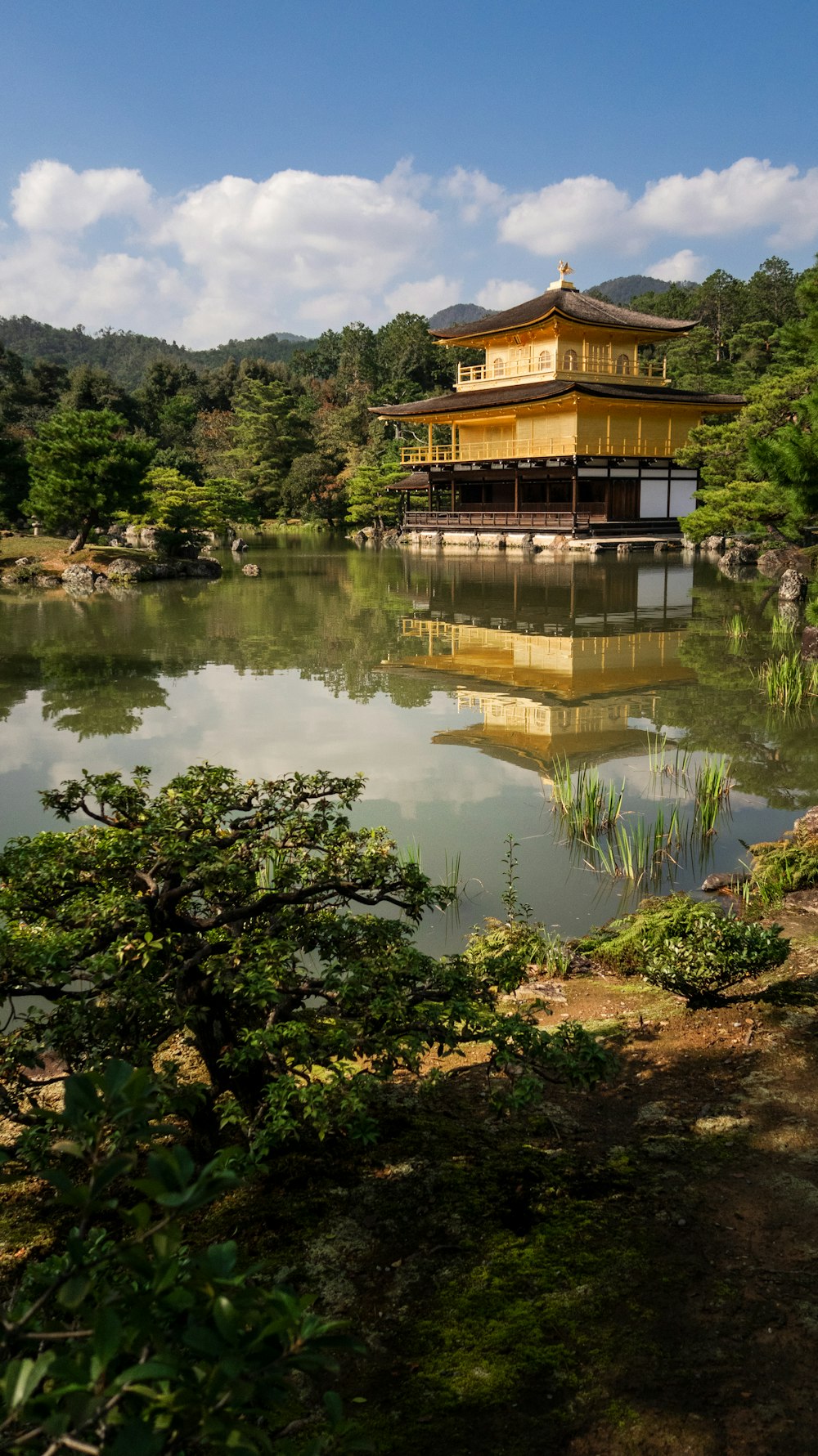 gelber Tempel in der Nähe von Bäumen mit Blick auf das Gewässer