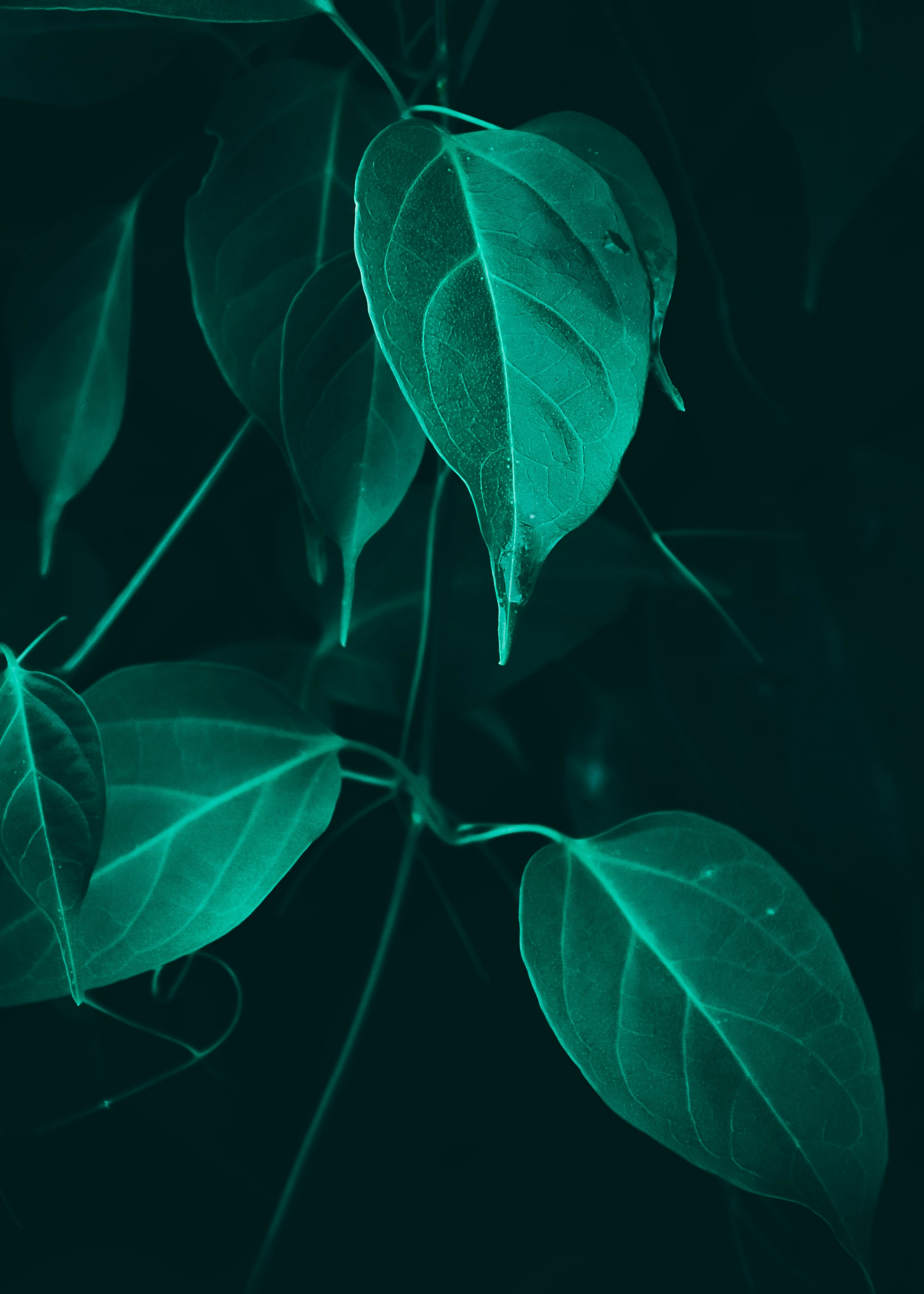 Photo by deepaknautiyal