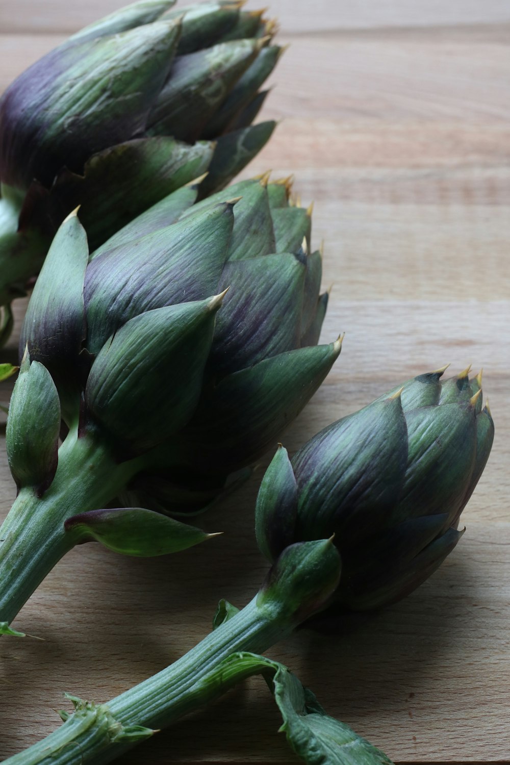 green-and-purple flowers