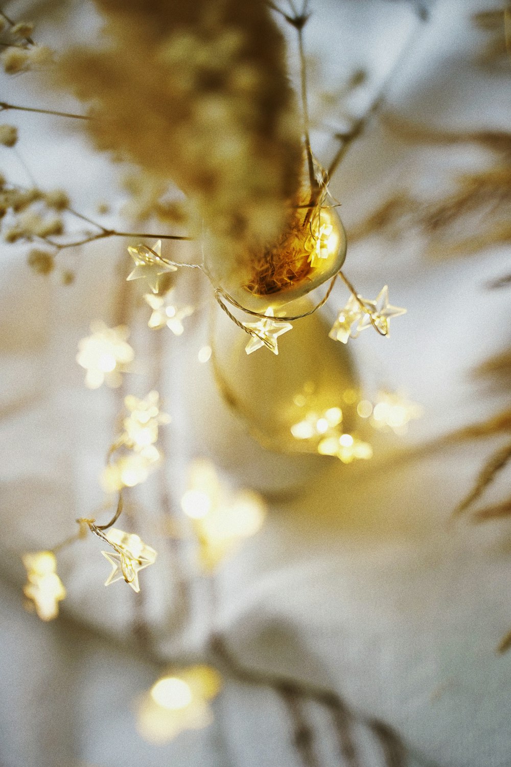 beige-petaled flower