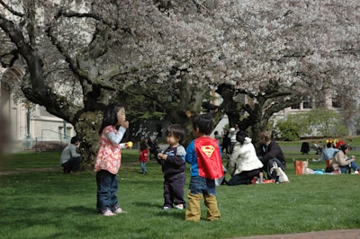 Children playing happily on a grassy lawn surrounded by blooming bushes.