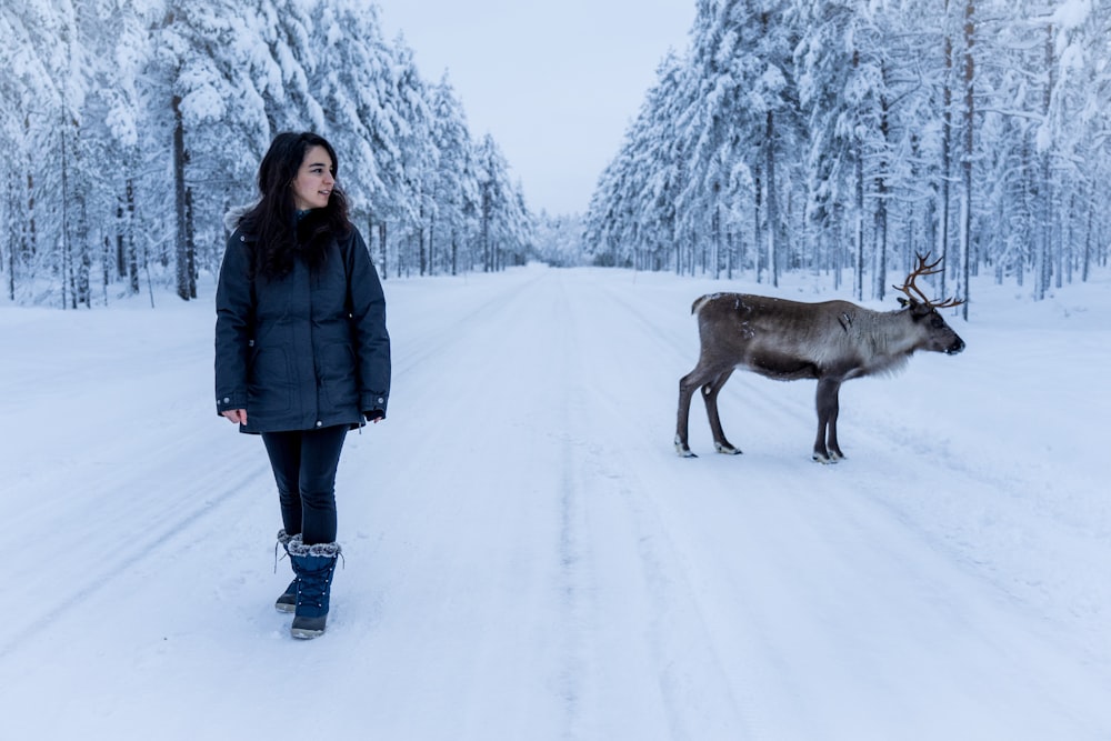 woman in blue jacket standing near moose
