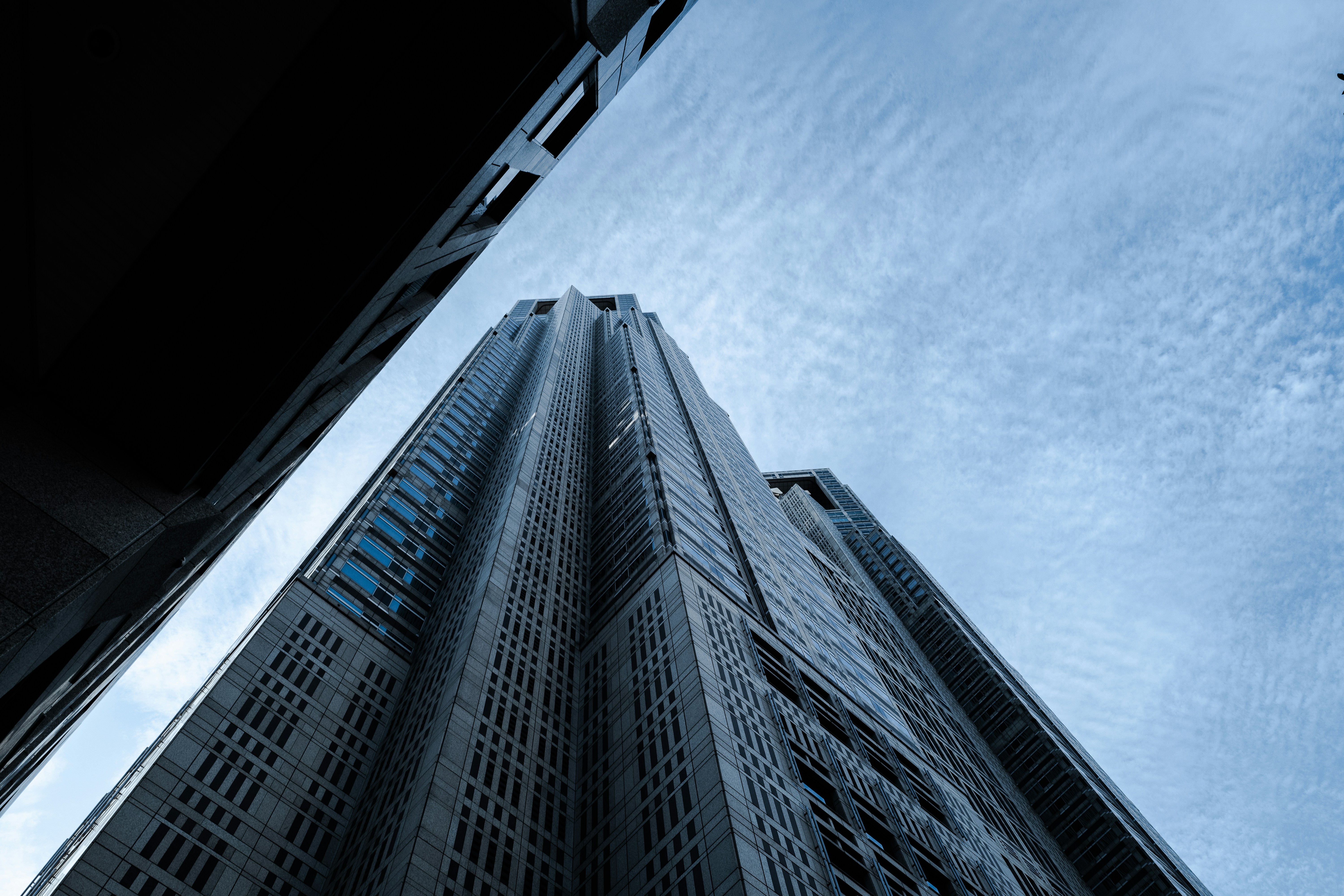 Photo by greyroseblack