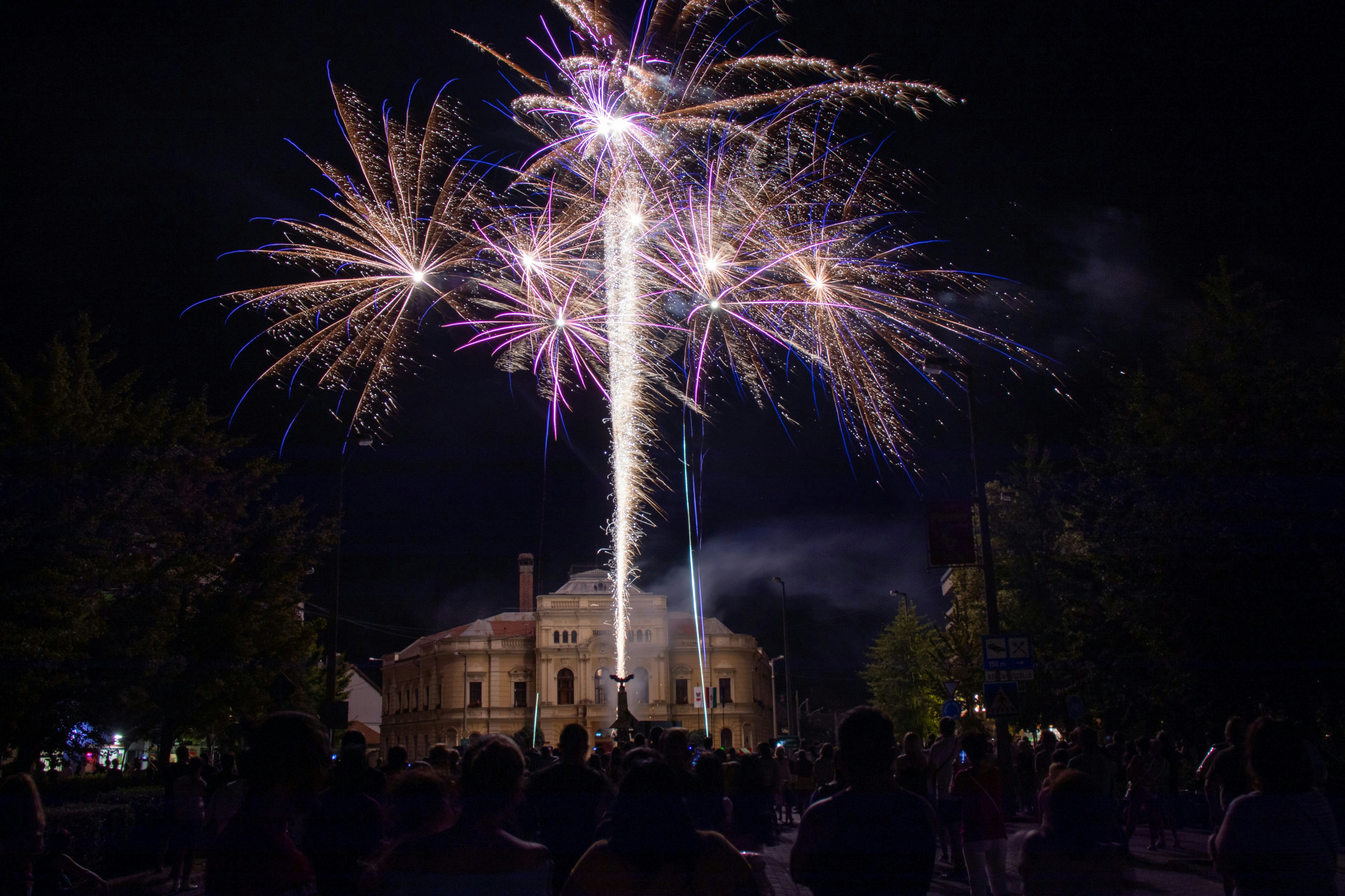 a crowd of people watching a fireworks display