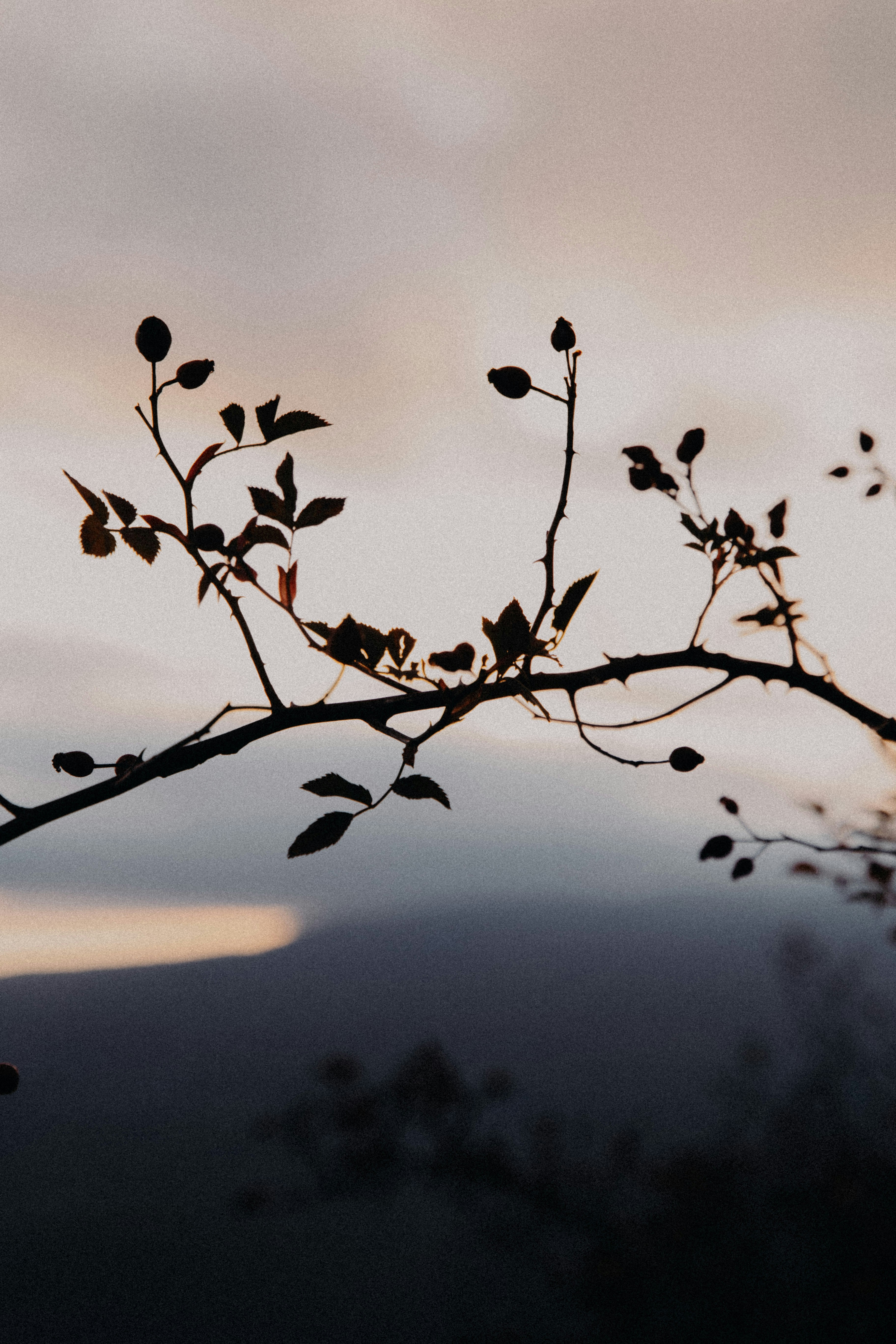 Photo by kkalerry