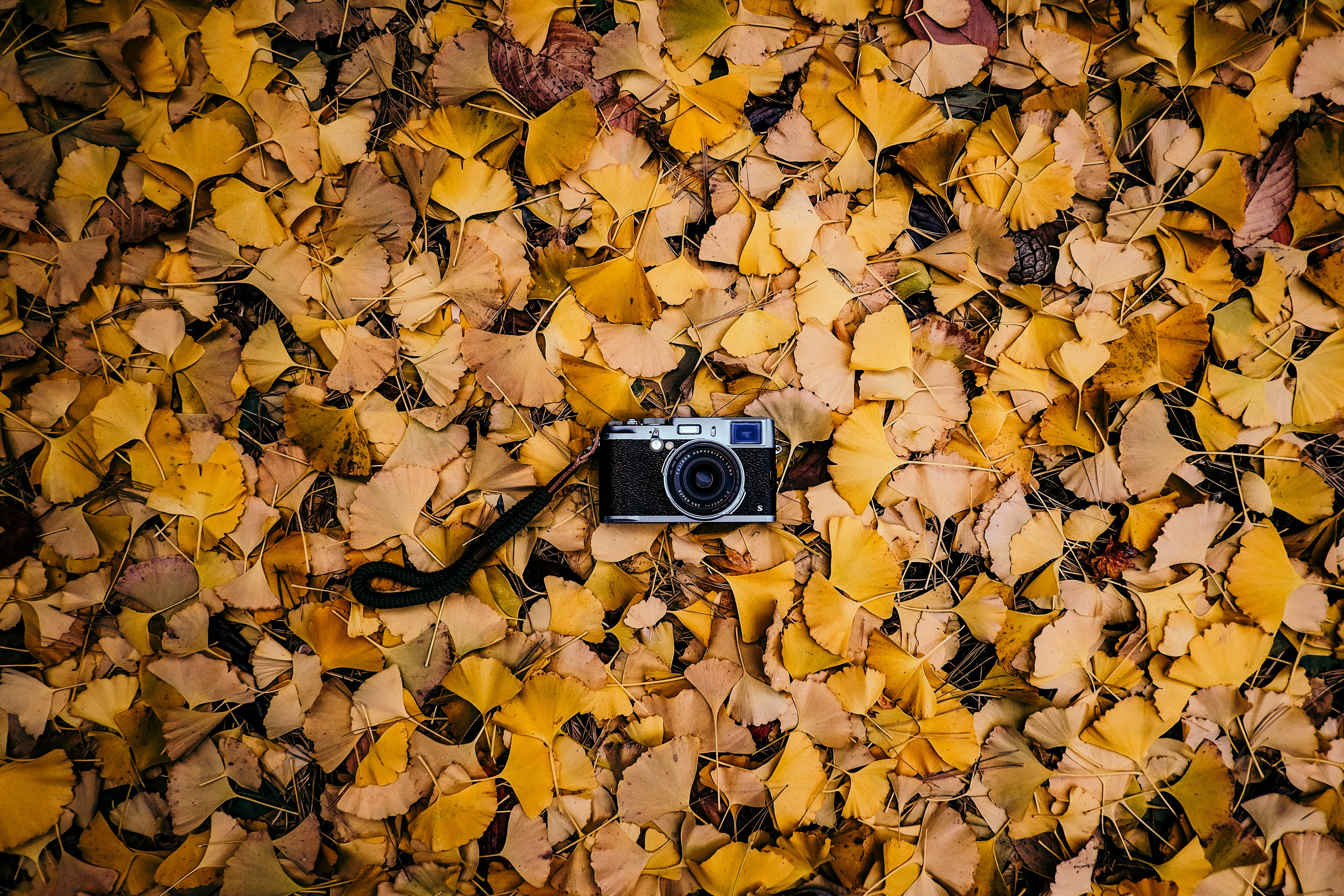 Photo by insungpandora