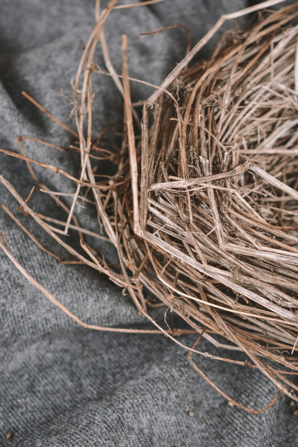 macro photography of brown hay