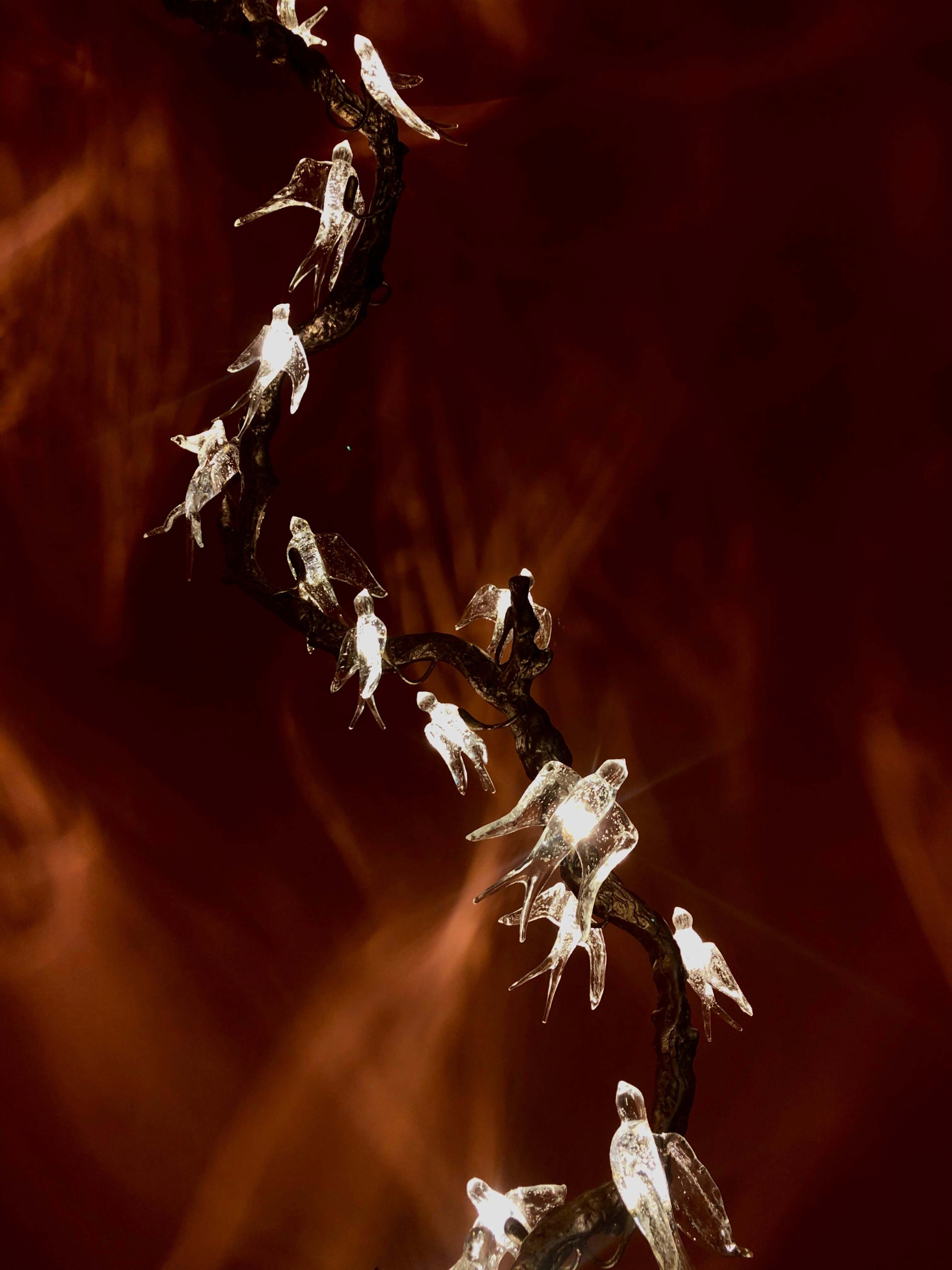 A group of white birds sitting on a branch photo – Free Animal Image on ...