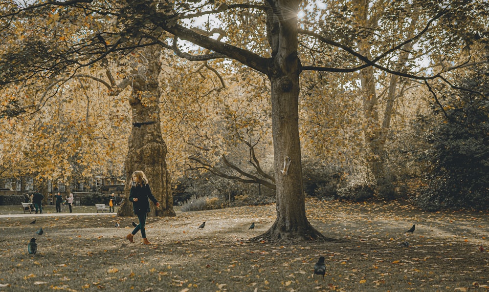 person walking beside tree during daytime
