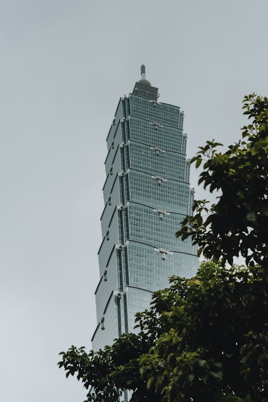 worm view photo of gray building during daytime in Taipei 101 Observatory Taiwan