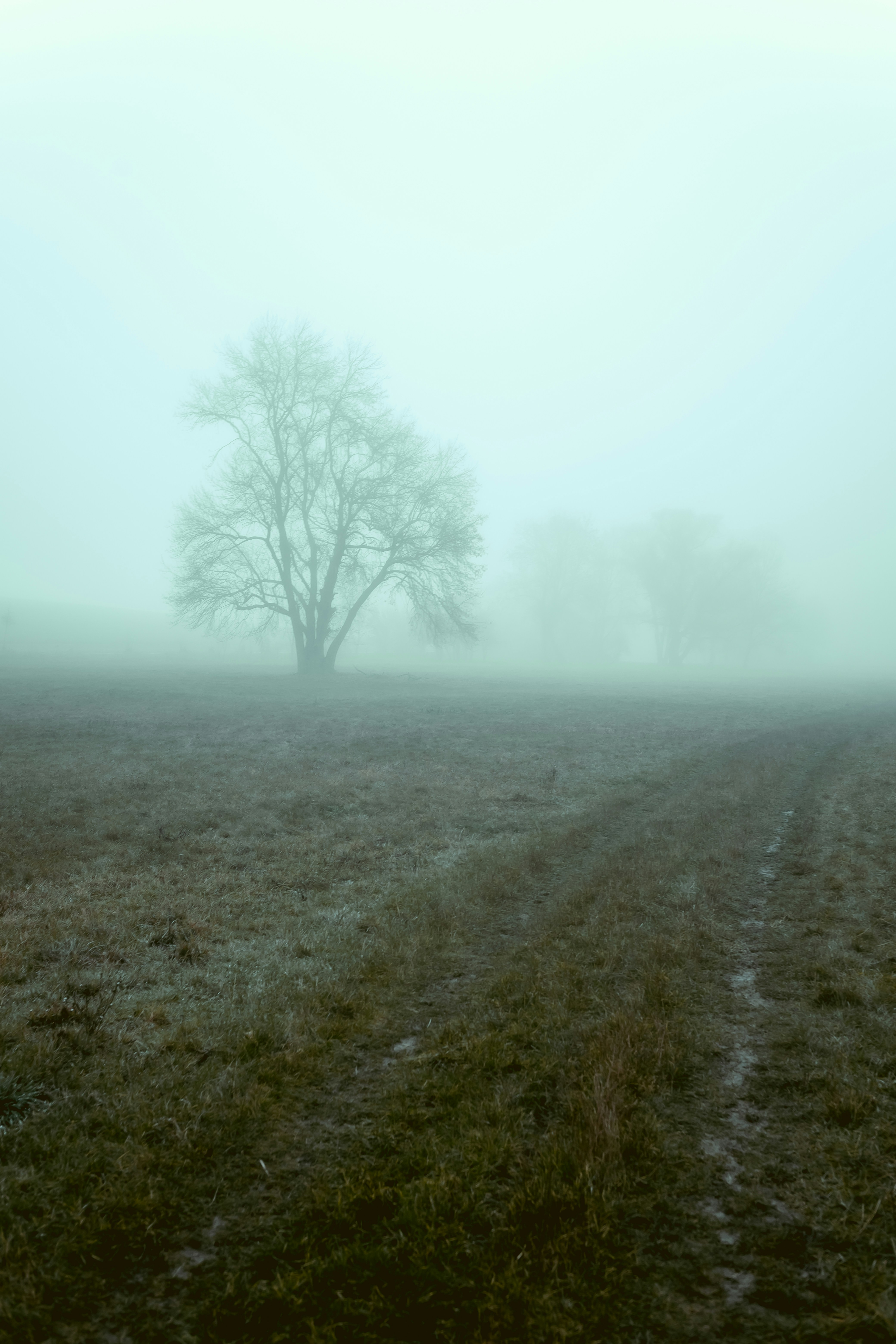 Photo by niklas_hamann