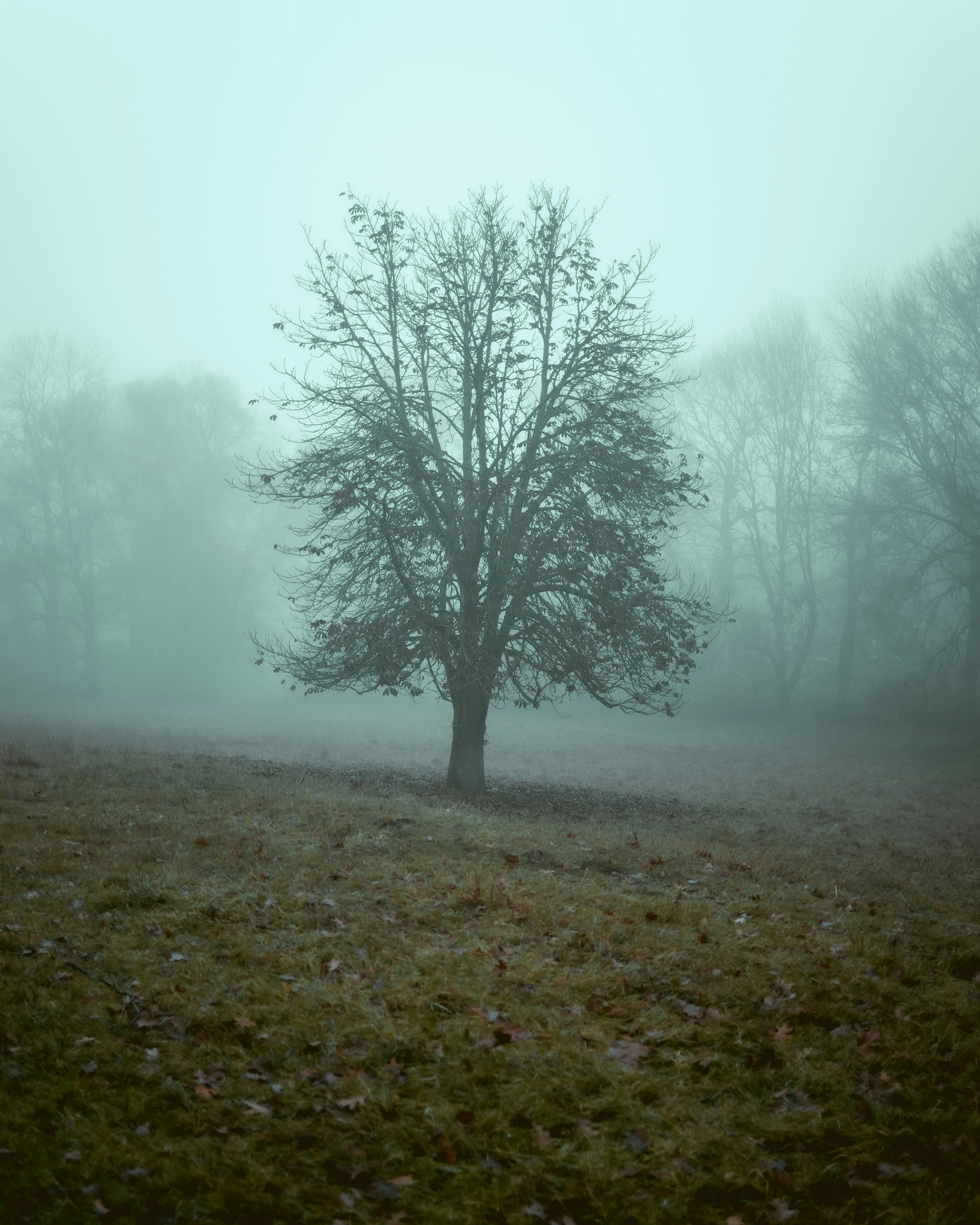 Photo by niklas_hamann