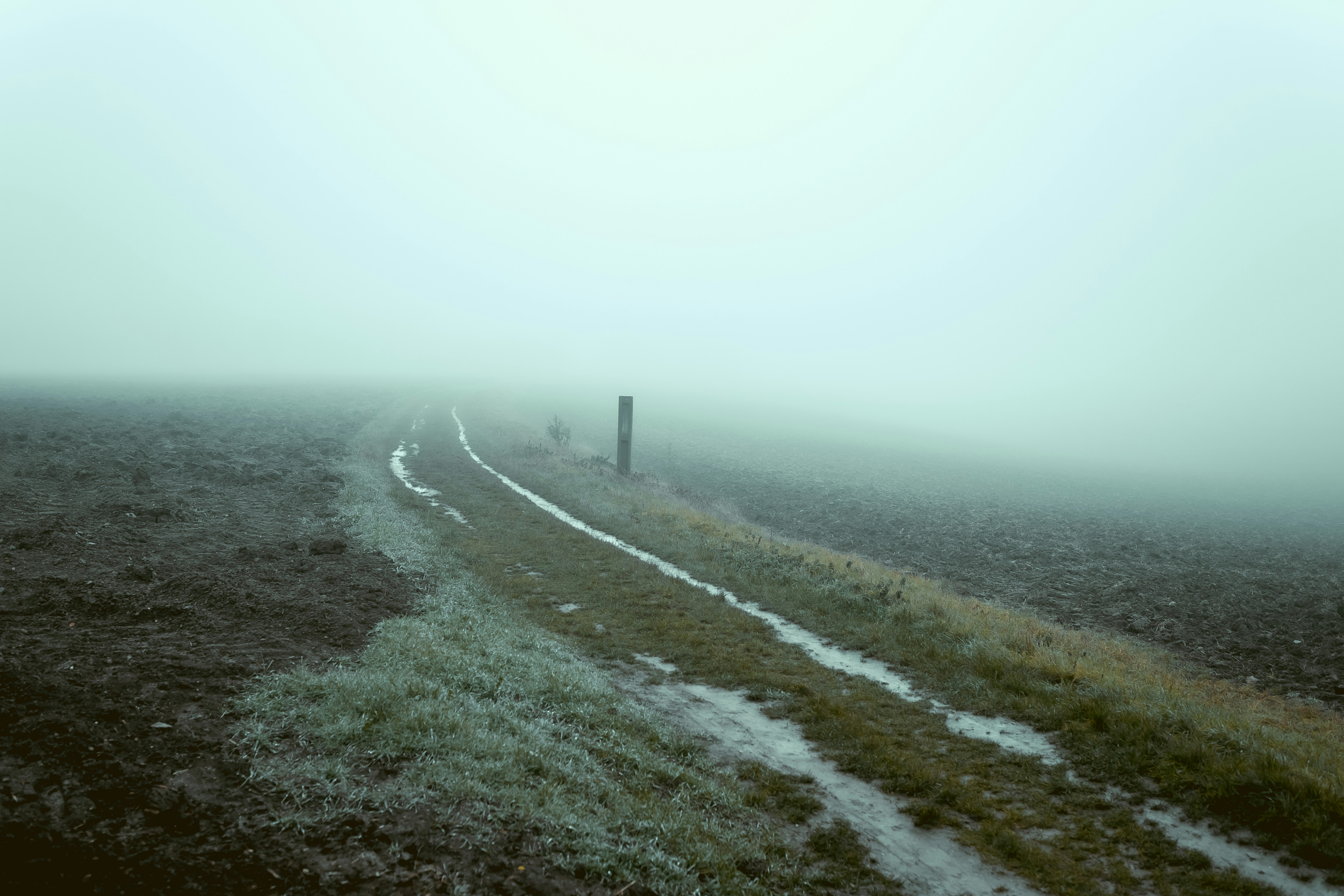 Photo by niklas_hamann