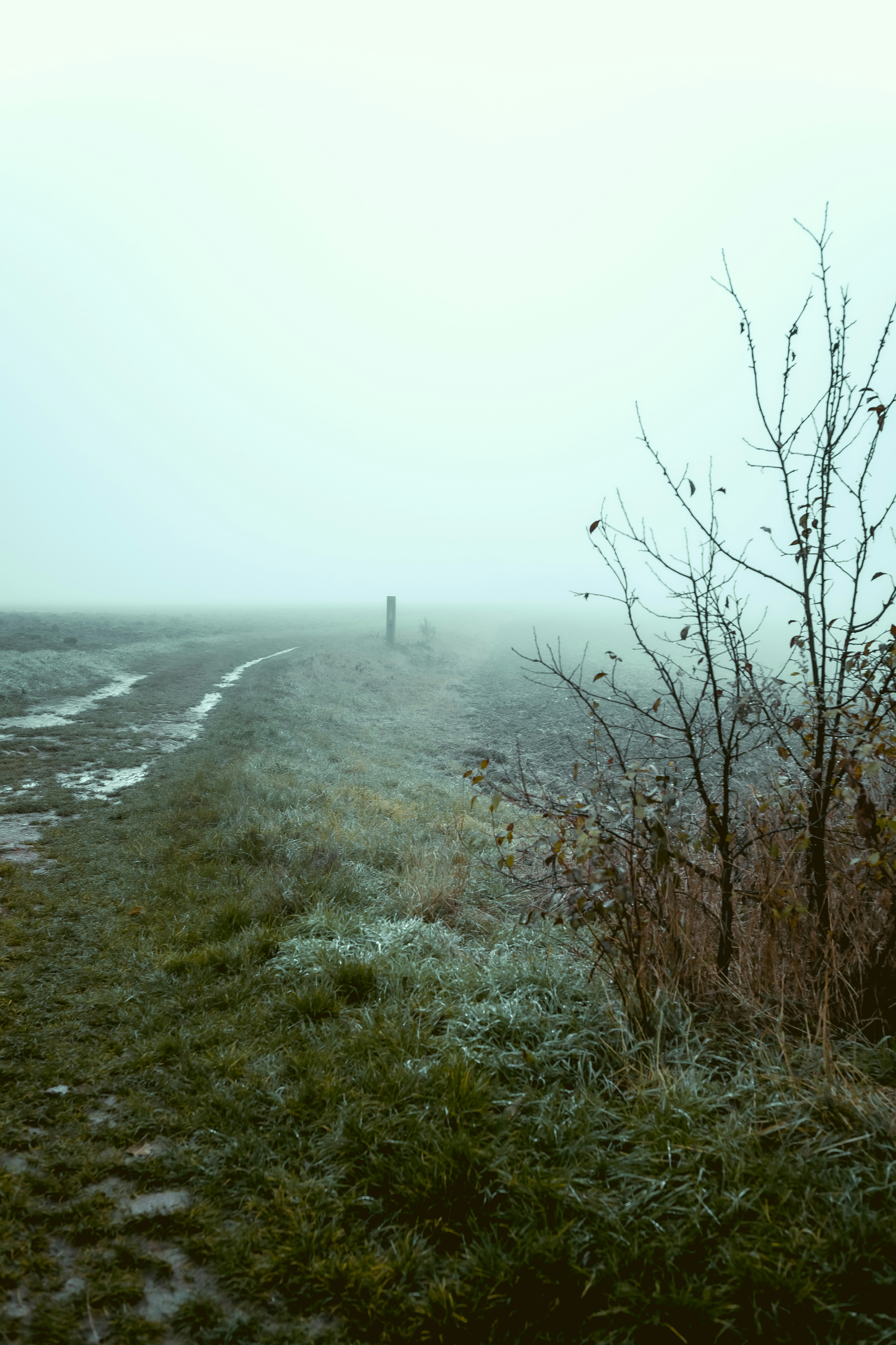 Photo by niklas_hamann