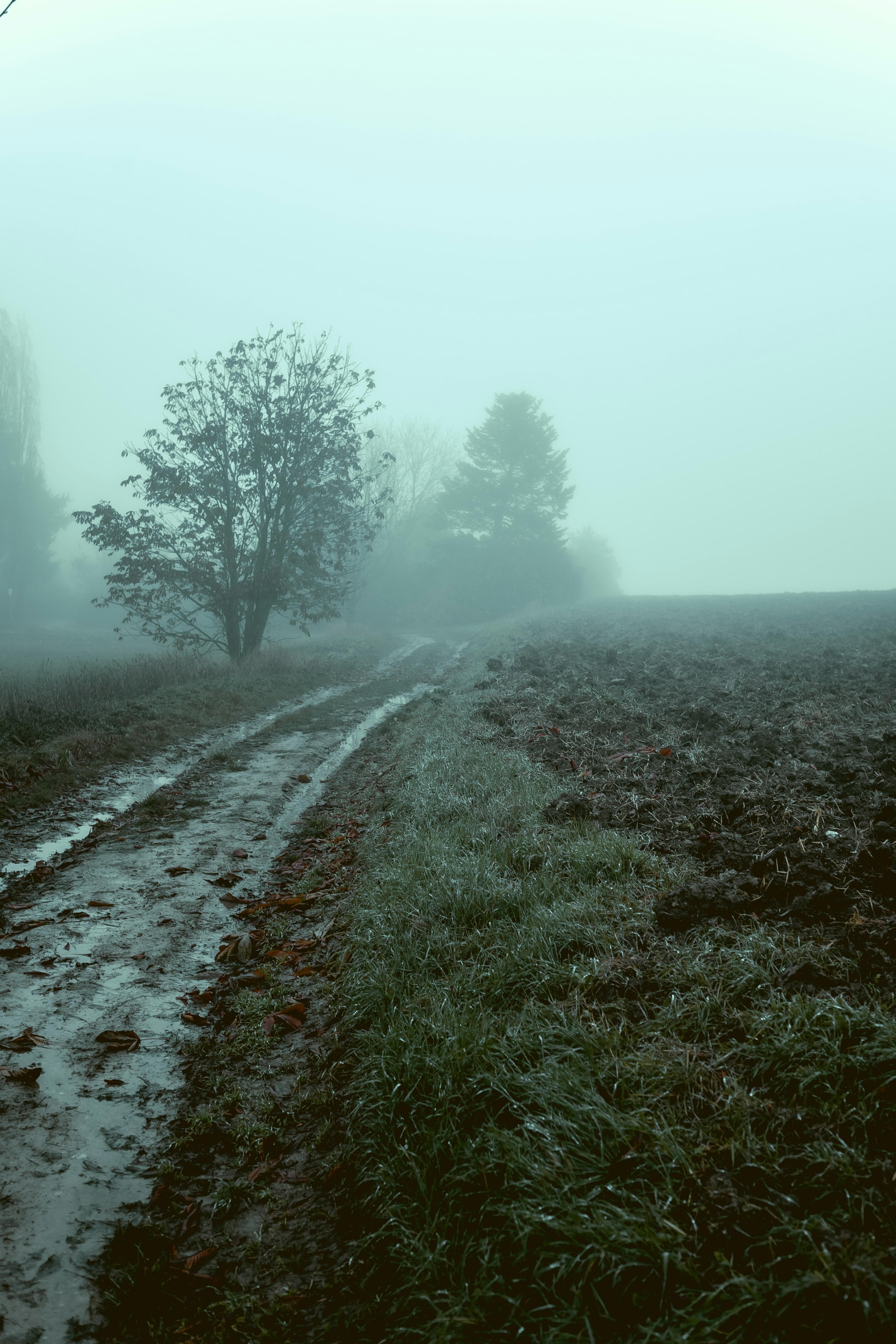 Photo by niklas_hamann