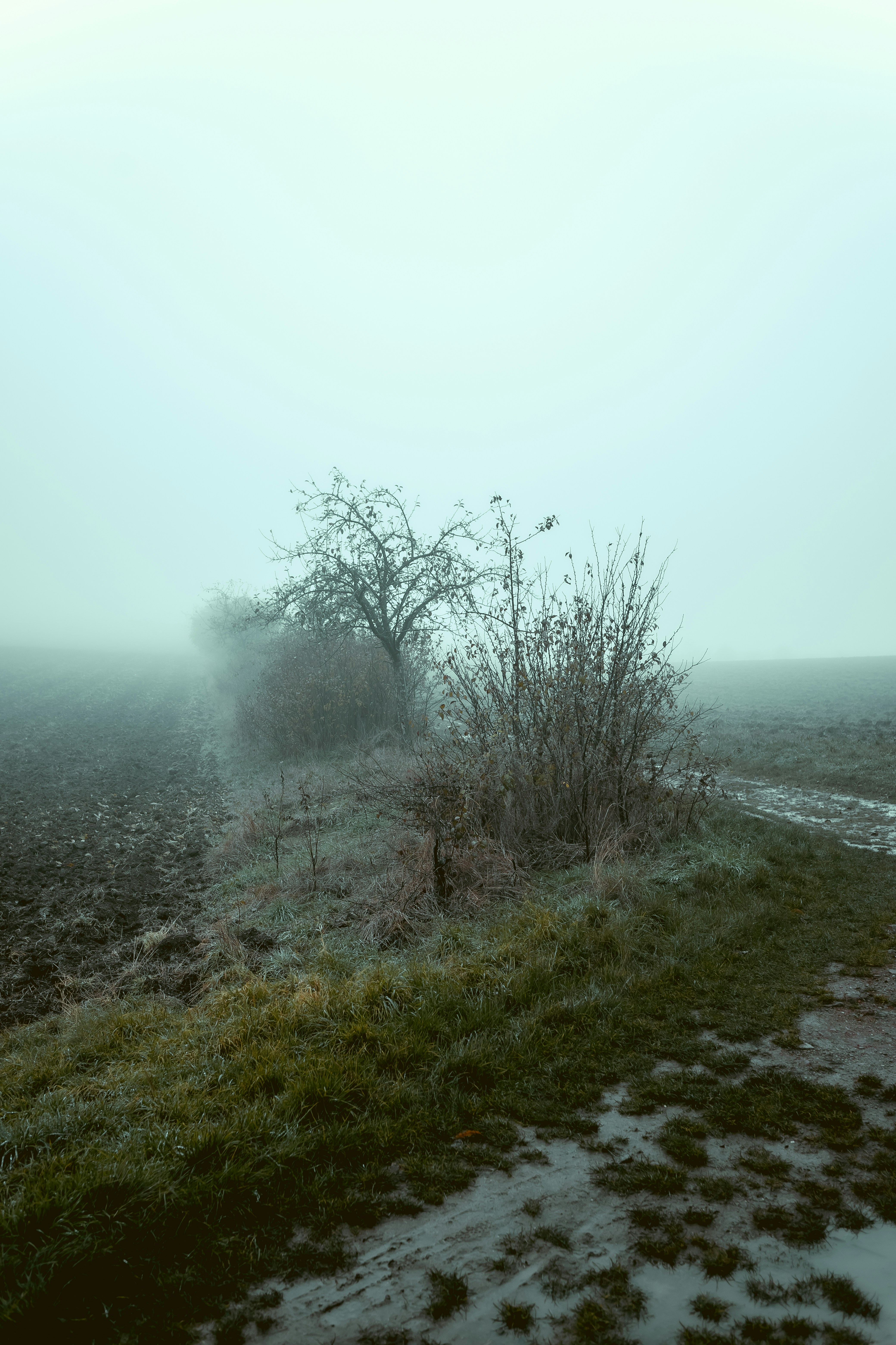 Photo by niklas_hamann