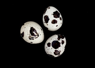 three black and white eggs