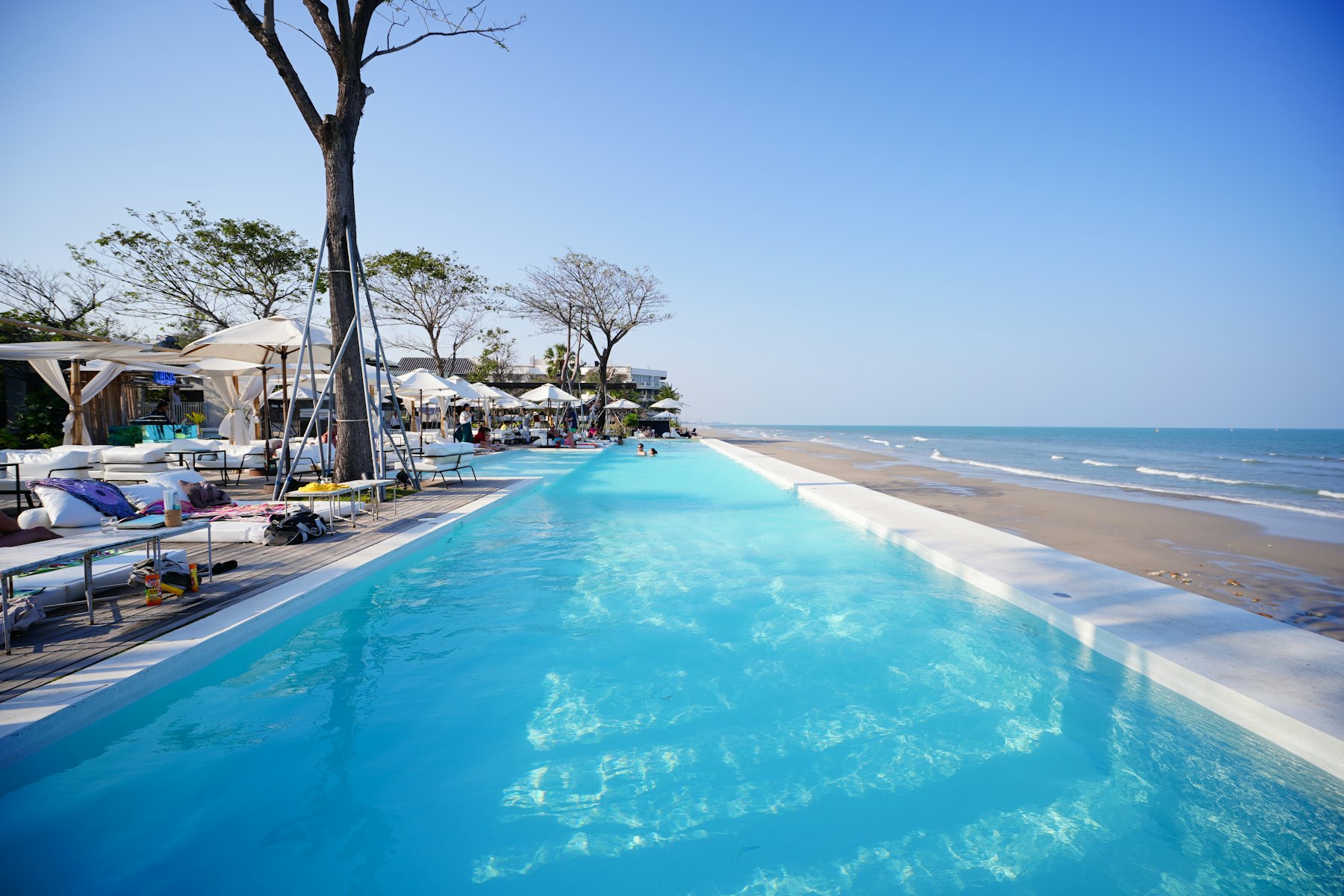 Swimming pool among tropical trees