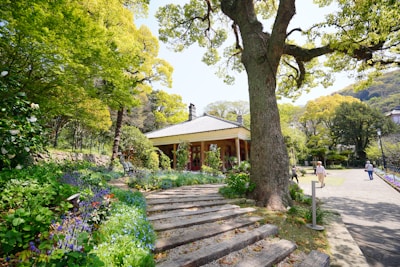 A serene garden in a property.