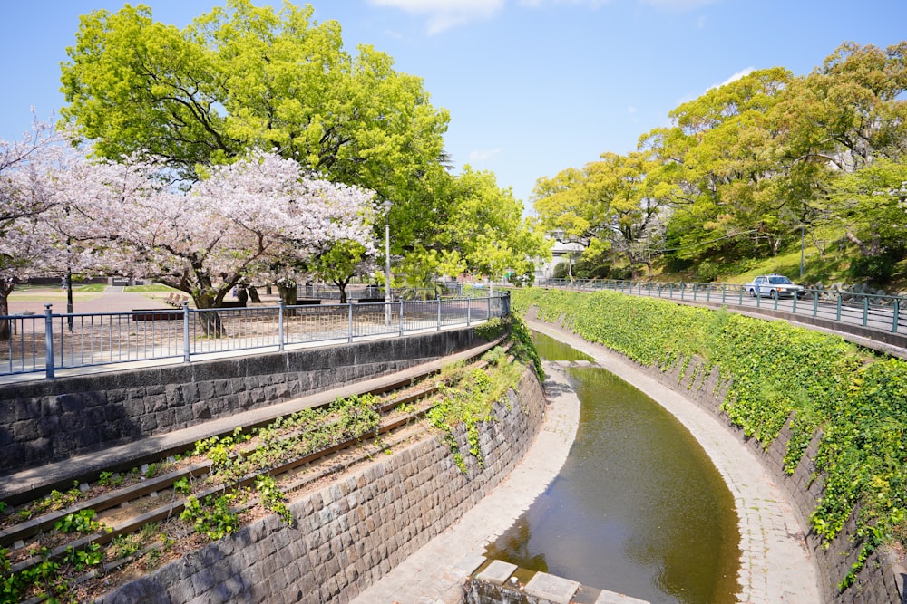 view photography of canal with vine plants and trees during daytime