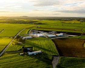 aerial photography of rice field