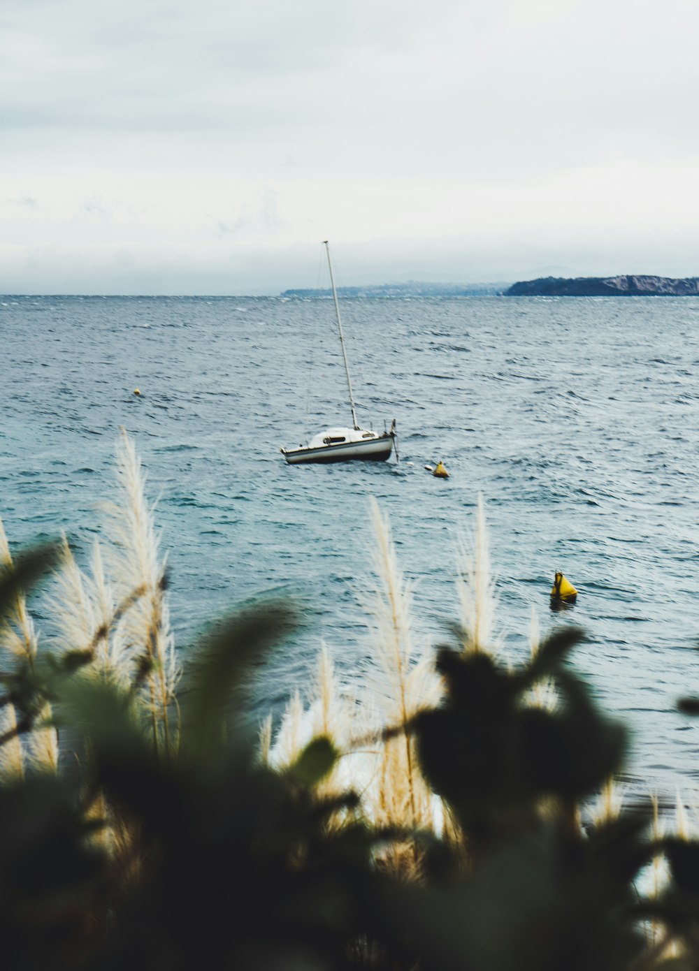 white and black boat during daytime