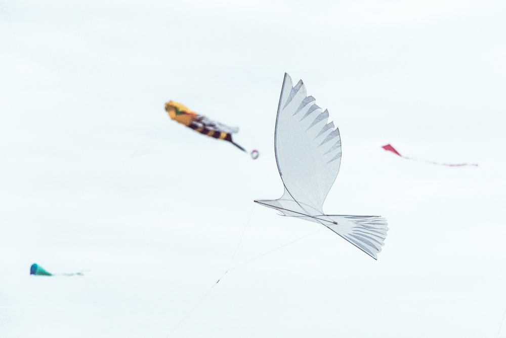 white bird kite