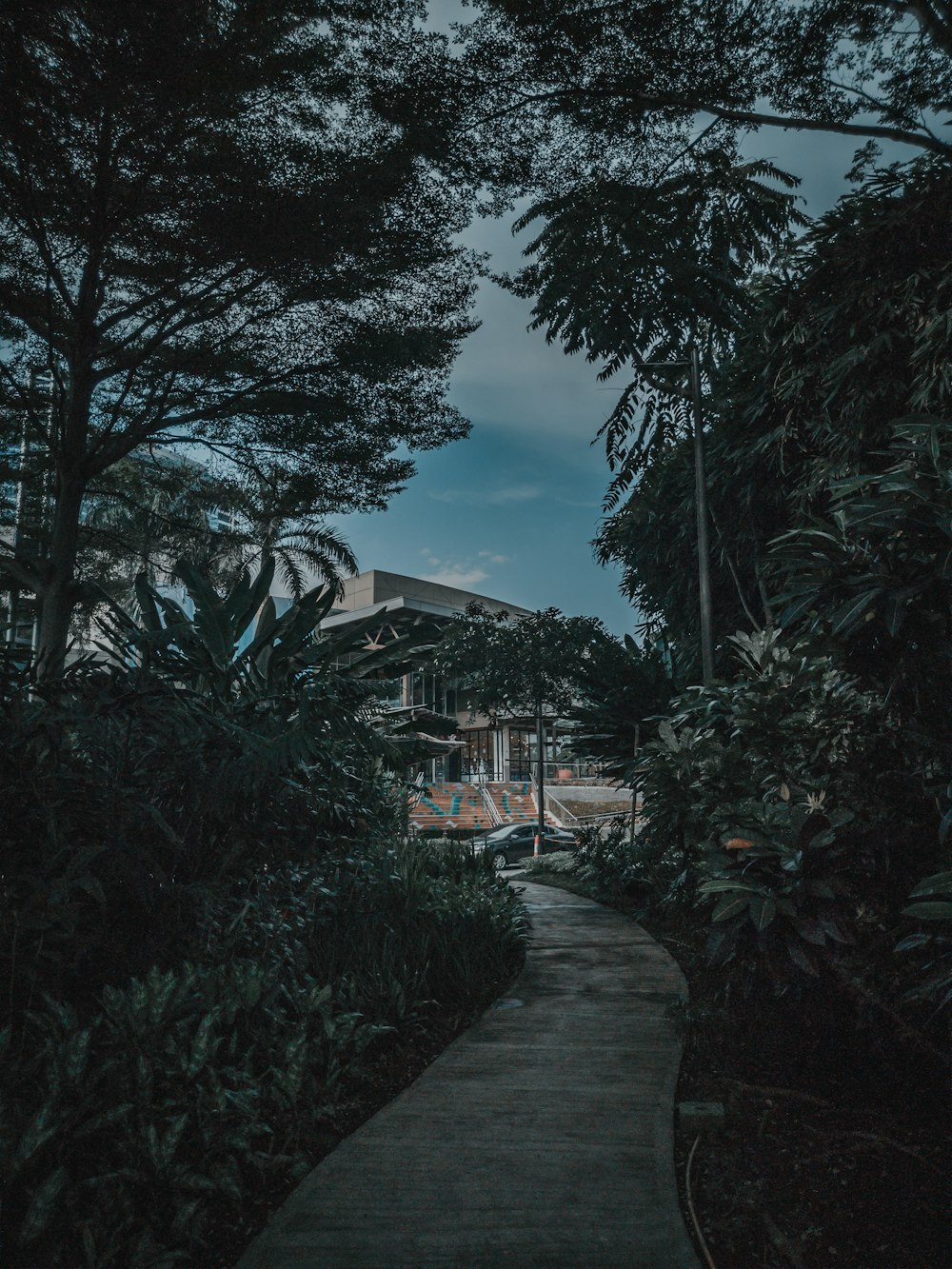 gray concrete pathway viewing high-rise building surrounded with green trees under blue and white sky