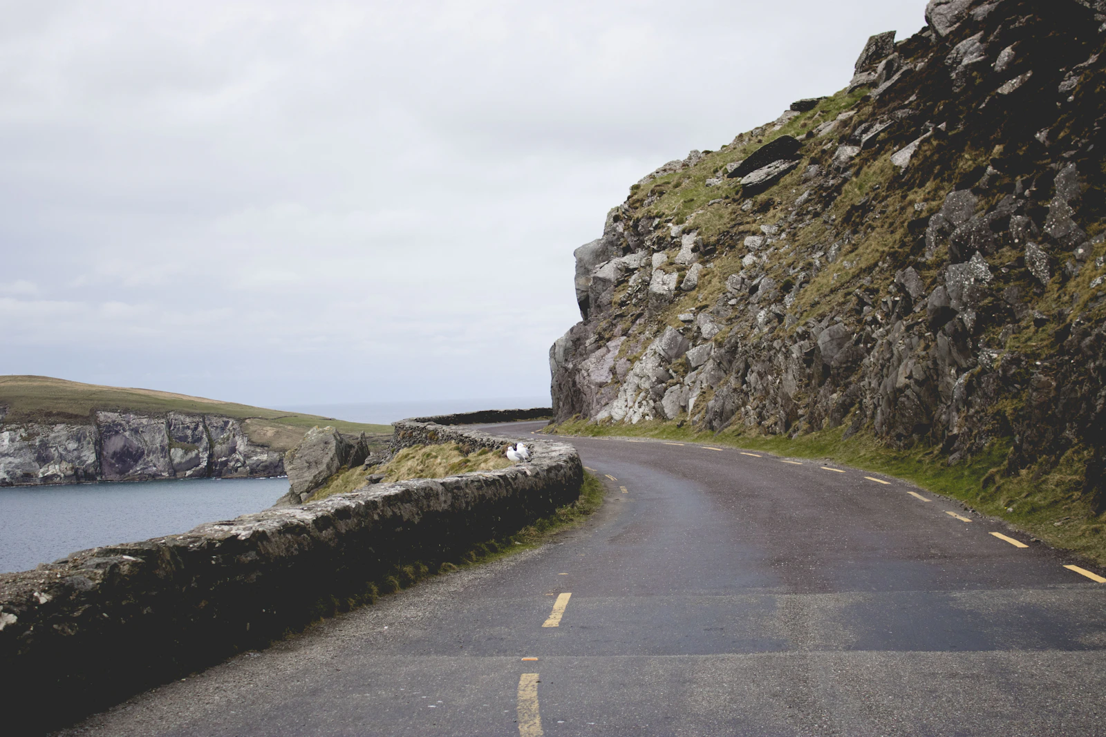 Dingle Peninsula scenic drive on an Ireland itinerary with kids - Photo from Unsplash