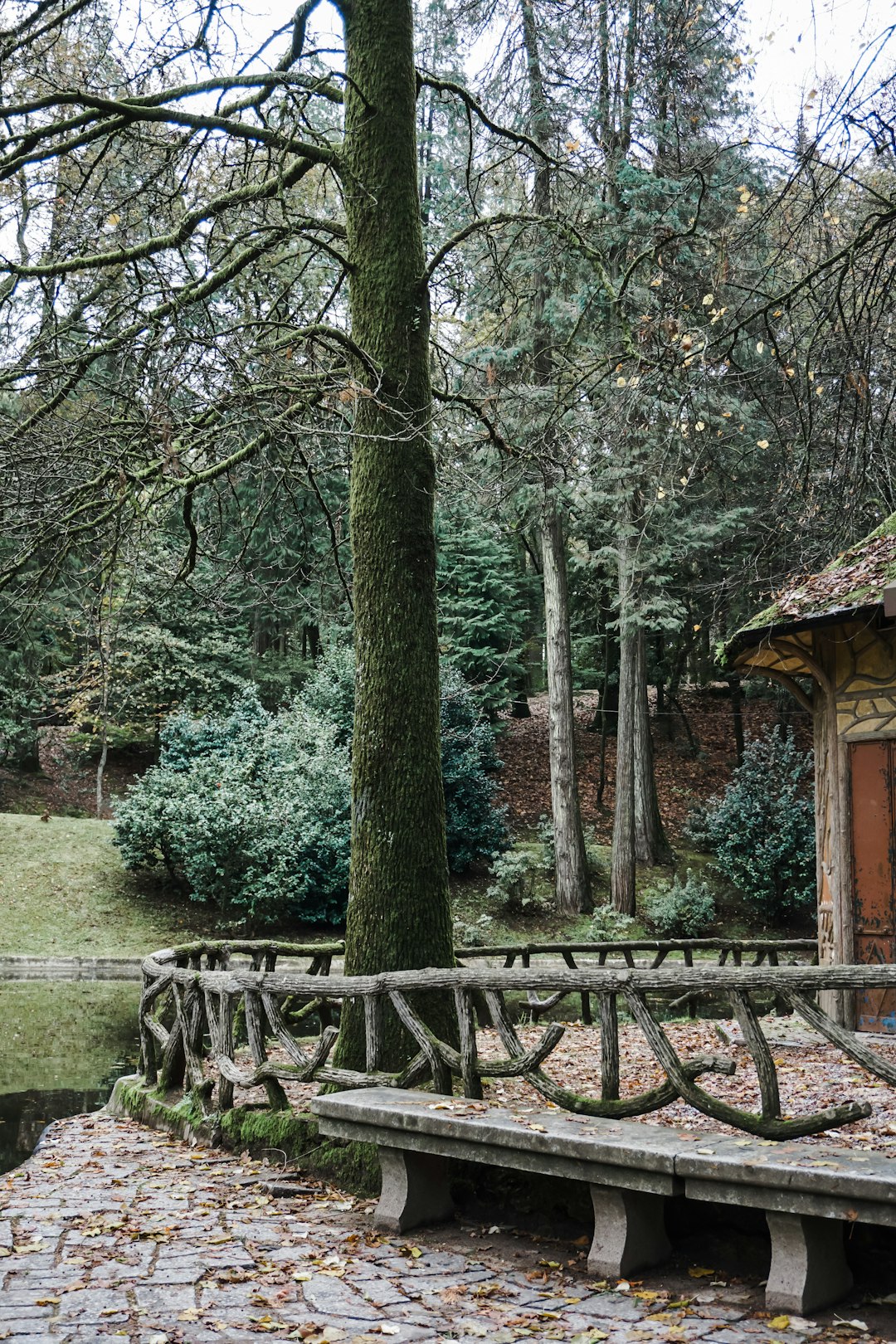 Forest photo spot Braga Gerês