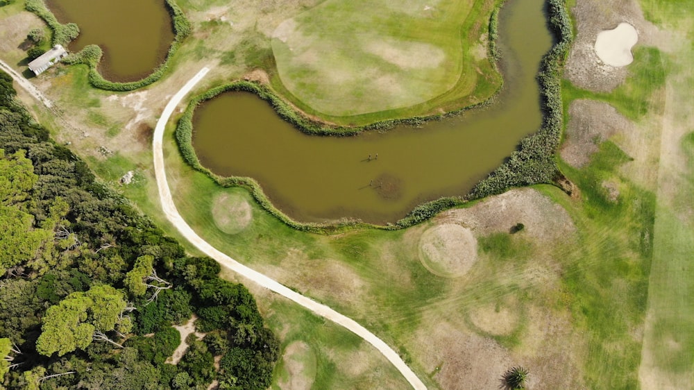 green landscape