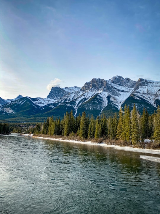 trees beside lake in Ha Ling Peak Canada