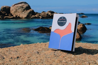 A book titled 'Le Caillou' stands upright on a rocky surface by the sea. The artwork on the cover features an abstract design with blue and pink shapes. In the background, large rocks and clear turquoise water are visible, creating a serene coastal scene under a clear blue sky.
