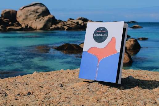 A book titled 'Le Caillou' stands upright on a rocky surface by the sea. The artwork on the cover features an abstract design with blue and pink shapes. In the background, large rocks and clear turquoise water are visible, creating a serene coastal scene under a clear blue sky.