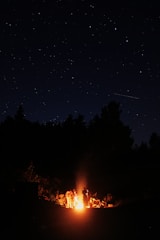 A campfire gathering under a starlit sky.