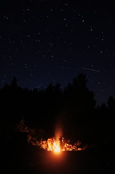 A group of travelers sharing experiences around a campfire under a starry sky.