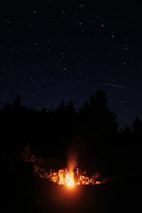 A group gathered around a campfire sharing stories under a starry sky.
