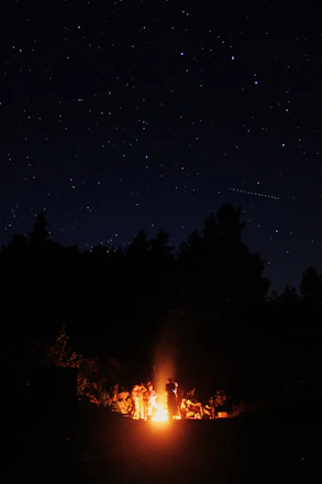 A group of men gathered around a campfire, sharing stories and laughter under a twilight sky.