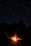 Group of friends laughing around a campfire at night under a starry sky.