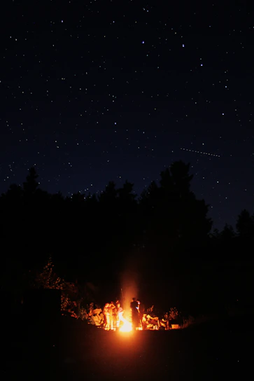A lively group of travelers gathered around a campfire in a Bosnian forest under a starry sky.