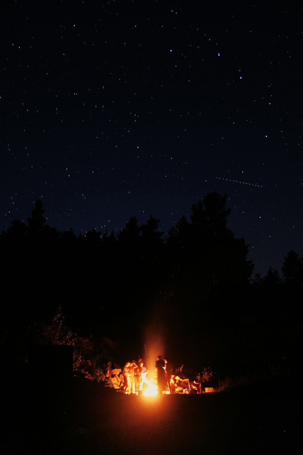 people standing and gathering near bonfire during night time