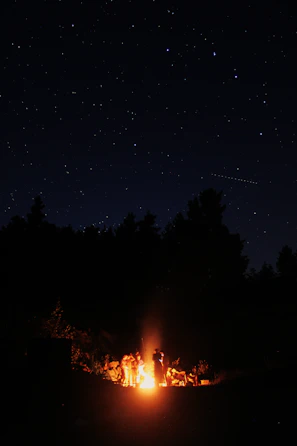 A family gathered around a campfire under a starry night sky at Ozark Outpost.