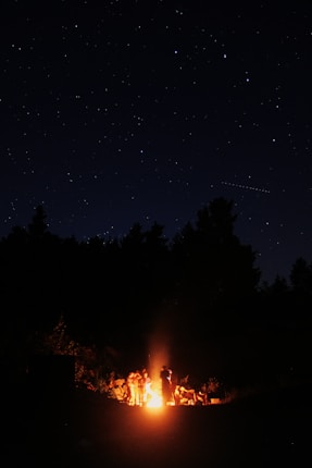 A group of people gathered around a campfire surrounded by trees under a star-filled night sky.