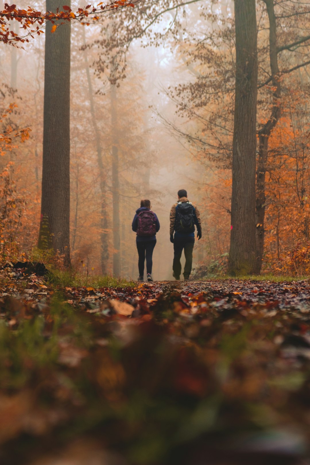 man and woman walking near trees