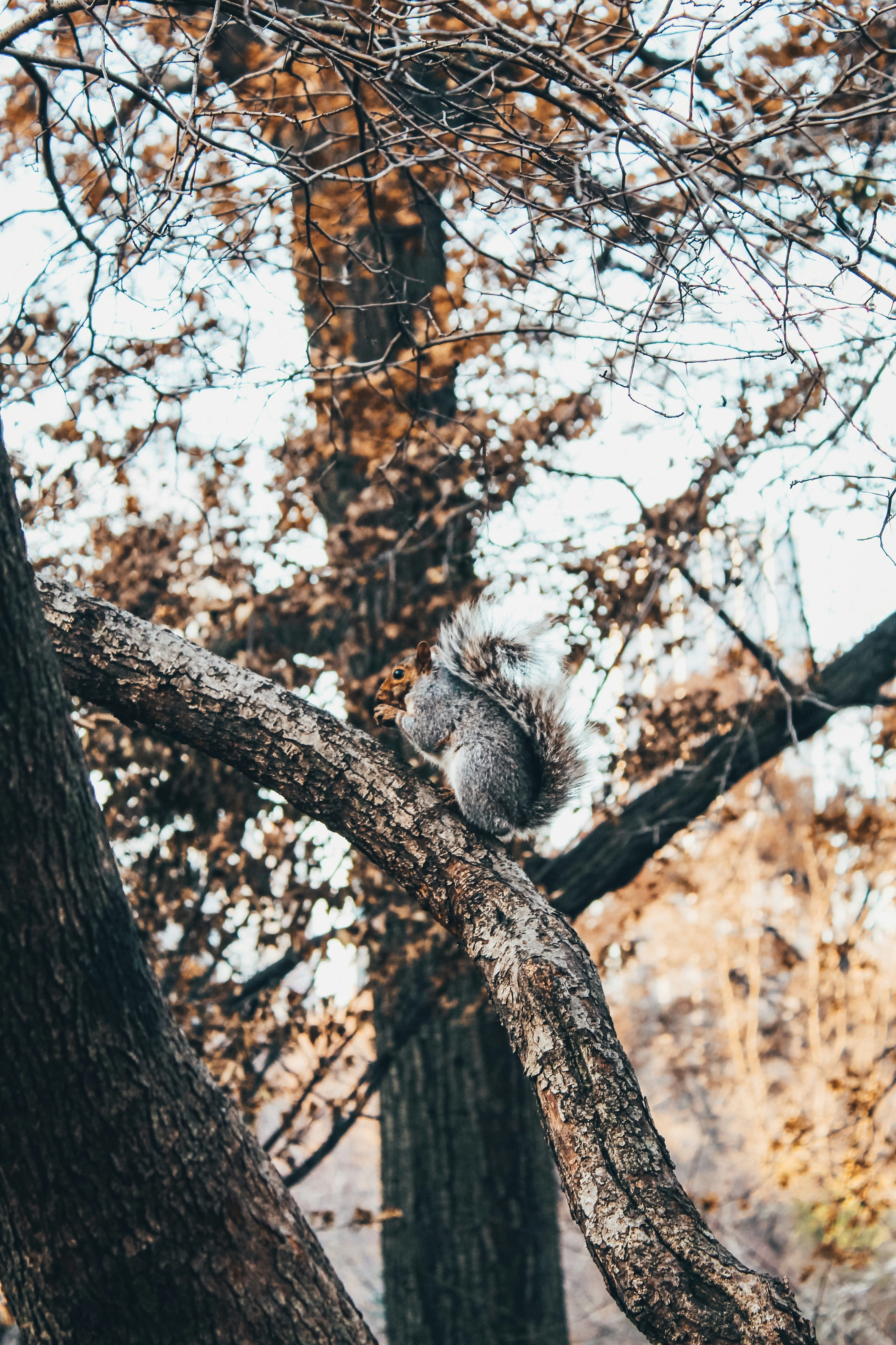 Photo by angularphotos