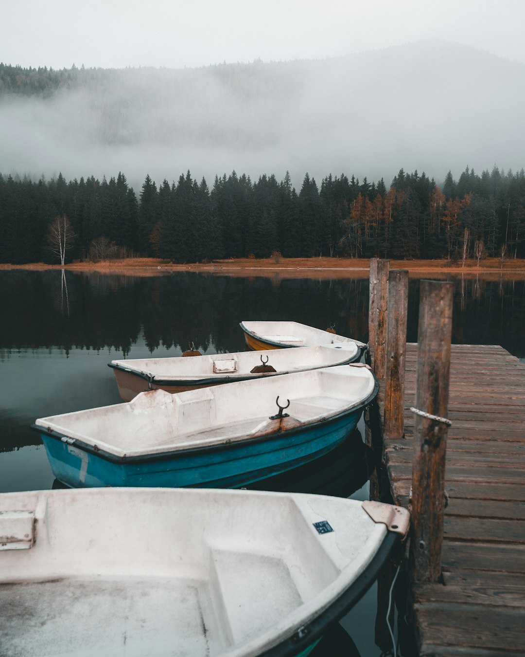 four rowboats tied on brown wooden dock bridge