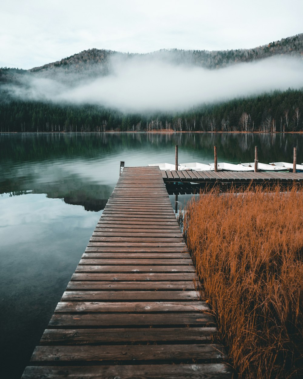 brown wooden pathway