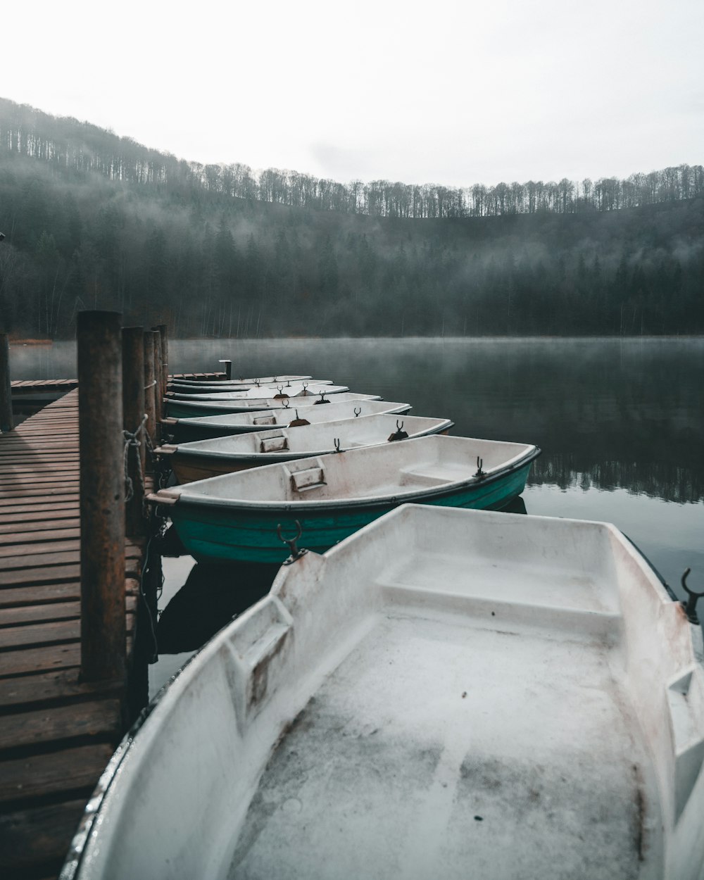 white and green canoes near brown wooden dock on body of water viewing trees