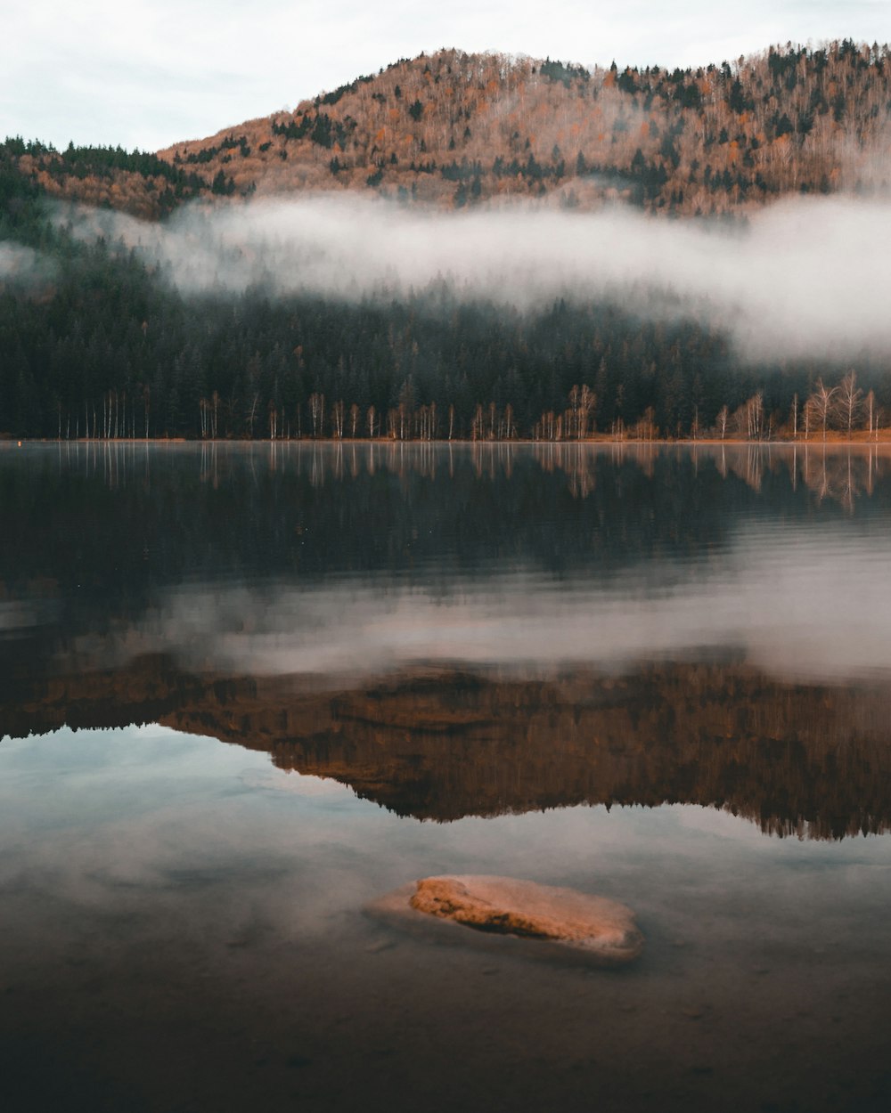 reflection of clouds and trees on body of water