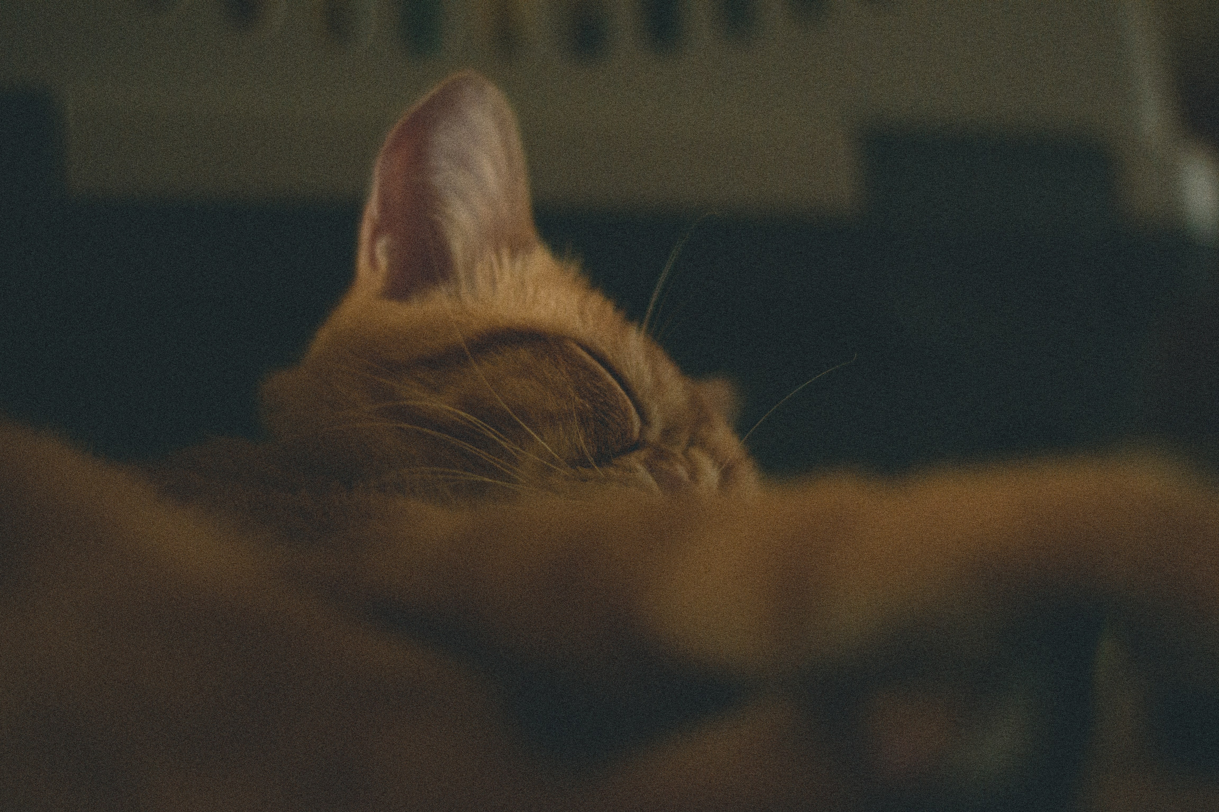 Photo by agustinfernandez